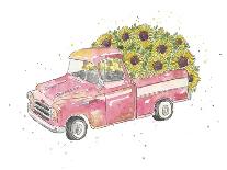 Flower Truck III-Catherine McGuire-Framed Stretched Canvas