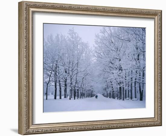 Catherine's Park in February, Tsarske Seloe (Puskin), St. Petersburg, Russia-Anthony Waltham-Framed Photographic Print