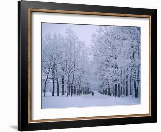 Catherine's Park in February, Tsarske Seloe (Puskin), St. Petersburg, Russia-Anthony Waltham-Framed Photographic Print