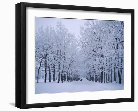 Catherine's Park in February, Tsarske Seloe (Puskin), St. Petersburg, Russia-Anthony Waltham-Framed Photographic Print