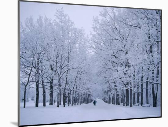 Catherine's Park in February, Tsarske Seloe (Puskin), St. Petersburg, Russia-Anthony Waltham-Mounted Photographic Print