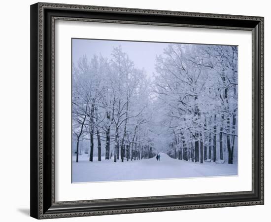 Catherine's Park in February, Tsarske Seloe (Puskin), St. Petersburg, Russia-Anthony Waltham-Framed Photographic Print