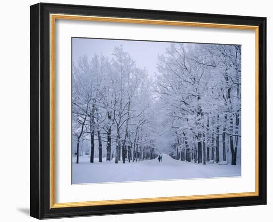 Catherine's Park in February, Tsarske Seloe (Puskin), St. Petersburg, Russia-Anthony Waltham-Framed Photographic Print