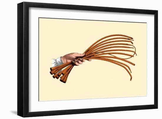 Catheters-Jules Porges-Framed Art Print