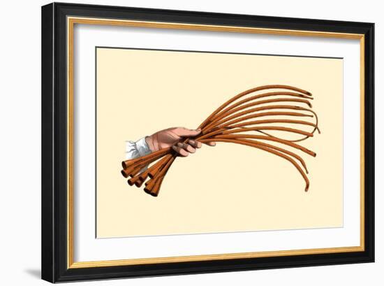 Catheters-Jules Porges-Framed Art Print