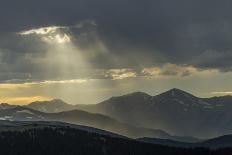 USA, Colorado, Mt. Evans. Bristlecone pine and clouds at sunrise.-Cathy and Gordon Illg-Photographic Print