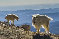 USA, Colorado, Mt. Evans. Landscape of virga rain and God rays.-Cathy and Gordon Illg-Photographic Print