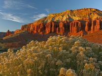 USA, South Dakota, Badlands National Park. Wilderness Landscape-Cathy & Gordon Illg-Photographic Print