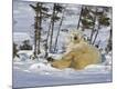 Photographic Print