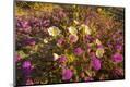 Premium Photographic Print