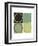 Catkin-Denise Duplock-Framed Art Print