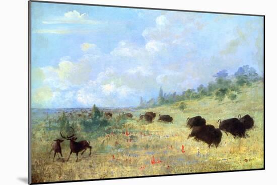 Catlin: Elk and Buffalo-George Catlin-Mounted Giclee Print