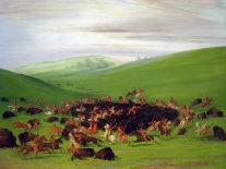 George Catlin; The Sac And Fox Rider On A Horse-Catlin-Art Print