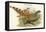 Catreus Wallachi - Cheer Pheasant-John Gould-Framed Stretched Canvas