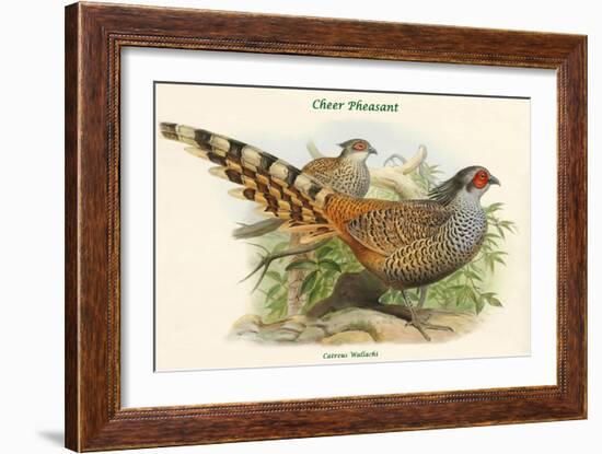 Catreus Wallachi - Cheer Pheasant-John Gould-Framed Art Print