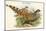 Catreus Wallachi - Cheer Pheasant-John Gould-Mounted Art Print