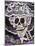 Catrina Skeleton, San Miguel De Allende, Mexico-Merrill Images-Mounted Photographic Print