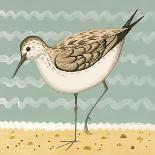 Serious Sanderling-Catriona Hall-Giclee Print