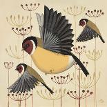 Foraging Pheasant-Catriona Hall-Giclee Print
