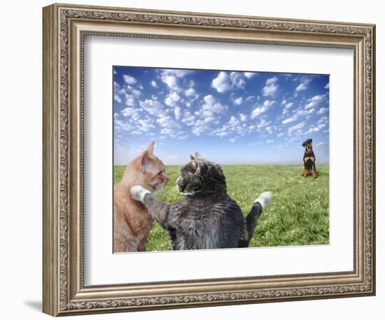 Cats and dogs-Bryan Allen-Framed Photographic Print