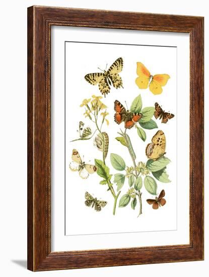 Cats by the Plant-Edward Penfield-Framed Art Print