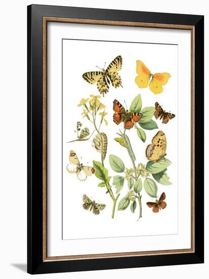 Cats by the Plant-Edward Penfield-Framed Art Print