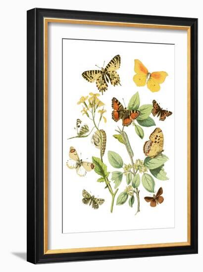 Cats by the Plant-Edward Penfield-Framed Art Print