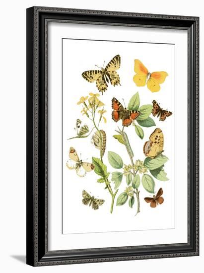 Cats by the Plant-Edward Penfield-Framed Premium Giclee Print