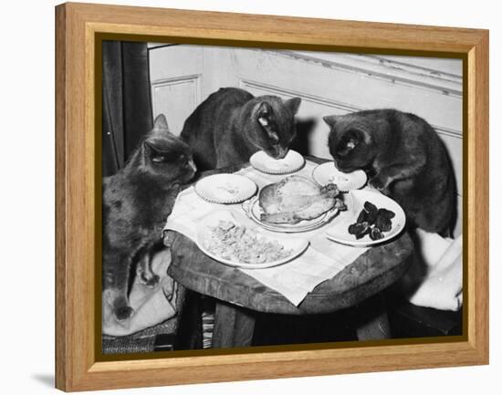 Cats' Celebratory Feast-null-Framed Premier Image Canvas