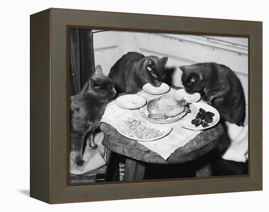 Cats' Celebratory Feast-null-Framed Premier Image Canvas