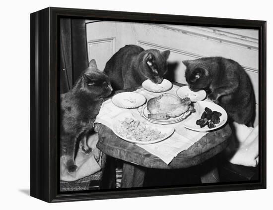 Cats' Celebratory Feast-null-Framed Premier Image Canvas