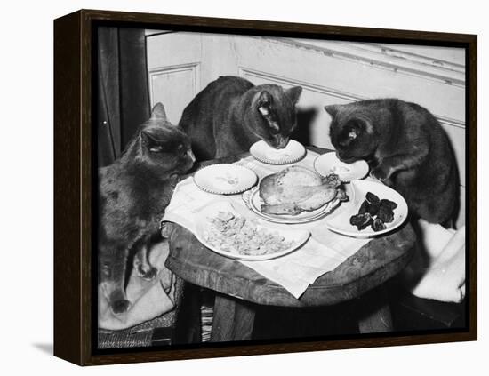 Cats' Celebratory Feast-null-Framed Premier Image Canvas