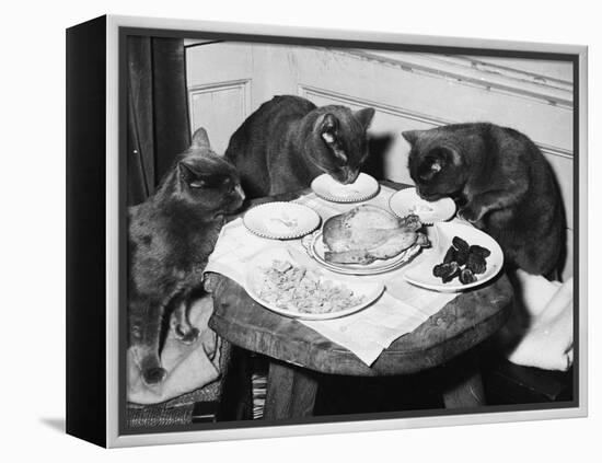 Cats' Celebratory Feast-null-Framed Premier Image Canvas