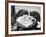 Cats' Celebratory Feast-null-Framed Photographic Print