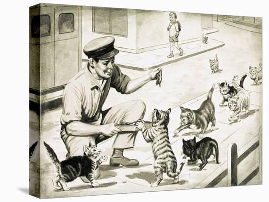 Stretched Canvas Print, , large