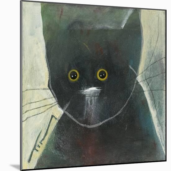 Cats Eyes-Tim Nyberg-Mounted Giclee Print