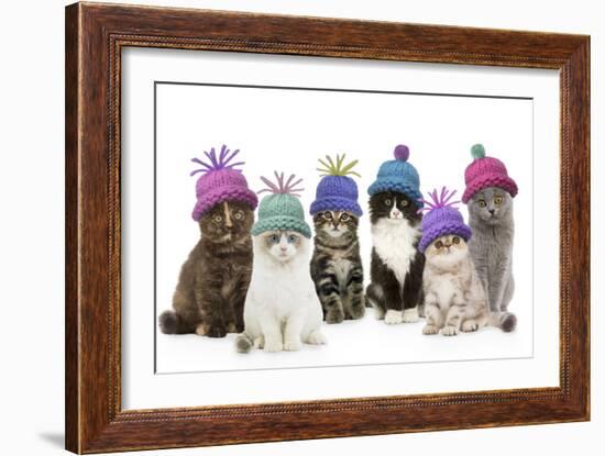 Cats, Group Wearing Woolly Hat-null-Framed Photographic Print