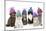 Cats, Group Wearing Woolly Hat-null-Mounted Photographic Print