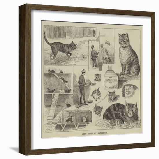 Cats' Home at Battersea-Louis Wain-Framed Giclee Print