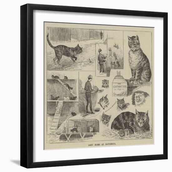 Cats' Home at Battersea-Louis Wain-Framed Giclee Print