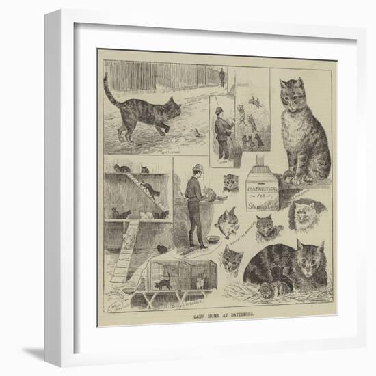 Cats' Home at Battersea-Louis Wain-Framed Giclee Print