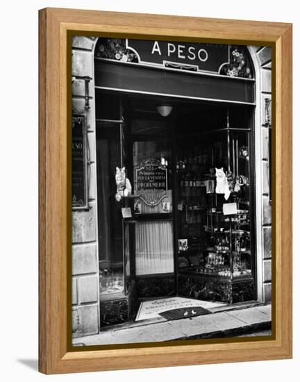 Cats Perching Outside Entrance to Perfume Shop-Alfred Eisenstaedt-Framed Premier Image Canvas