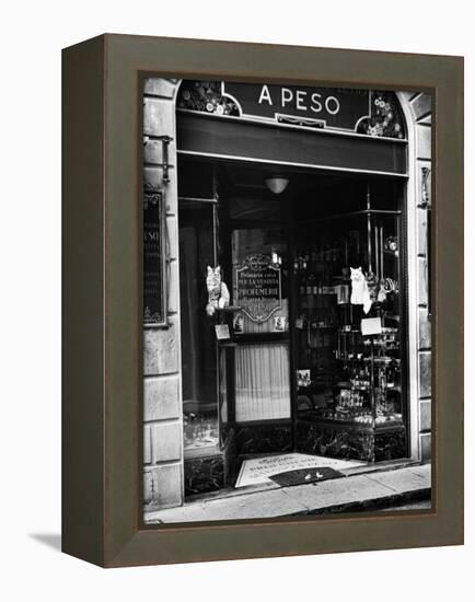 Cats Perching Outside Entrance to Perfume Shop-Alfred Eisenstaedt-Framed Premier Image Canvas