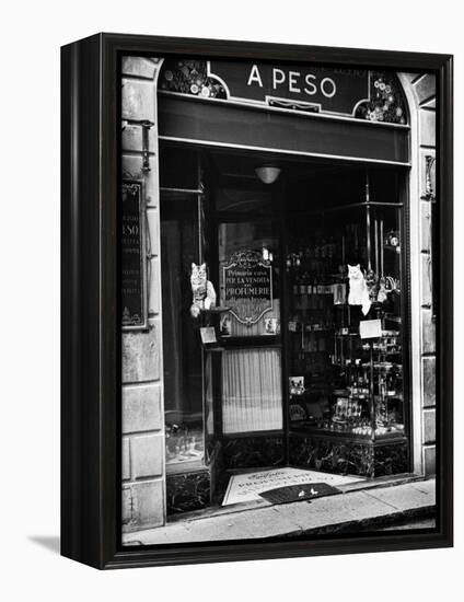 Cats Perching Outside Entrance to Perfume Shop-Alfred Eisenstaedt-Framed Premier Image Canvas