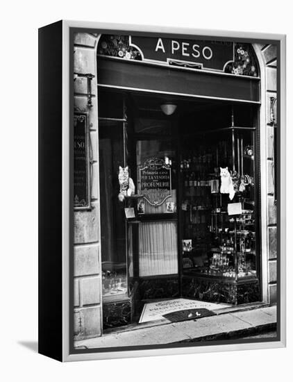 Cats Perching Outside Entrance to Perfume Shop-Alfred Eisenstaedt-Framed Premier Image Canvas