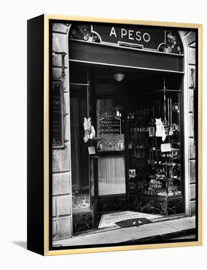 Cats Perching Outside Entrance to Perfume Shop-Alfred Eisenstaedt-Framed Premier Image Canvas