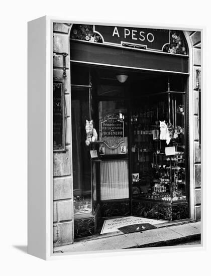 Cats Perching Outside Entrance to Perfume Shop-Alfred Eisenstaedt-Framed Premier Image Canvas