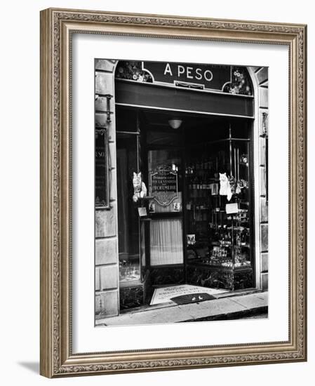 Cats Perching Outside Entrance to Perfume Shop-Alfred Eisenstaedt-Framed Photographic Print