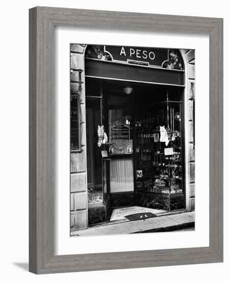 Cats Perching Outside Entrance to Perfume Shop-Alfred Eisenstaedt-Framed Photographic Print