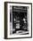 Cats Perching Outside Entrance to Perfume Shop-Alfred Eisenstaedt-Framed Photographic Print